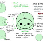 NEWT-head-notes