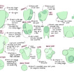 NEWT-torso-notes